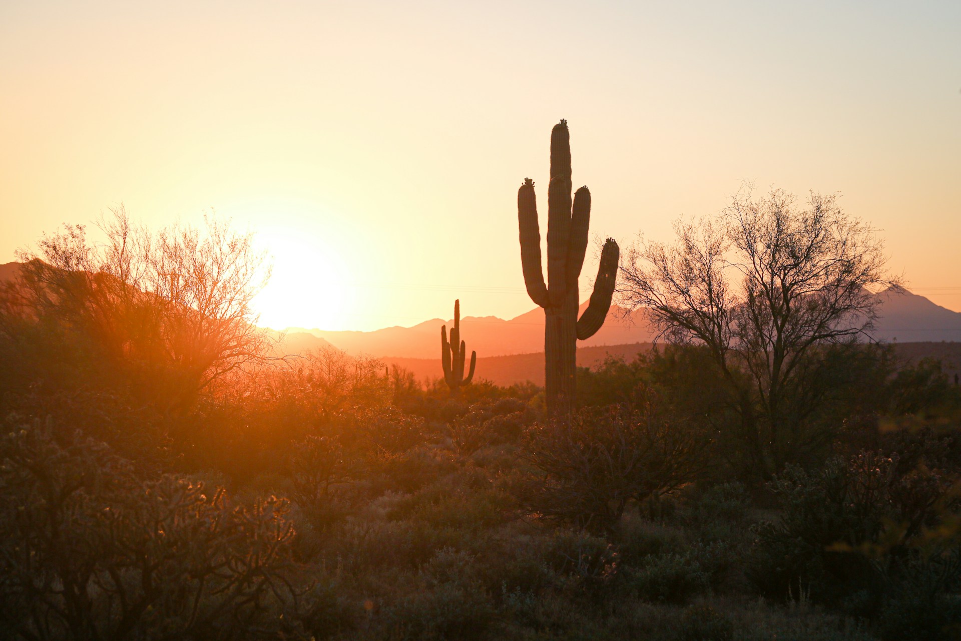 View our Arizona rentals