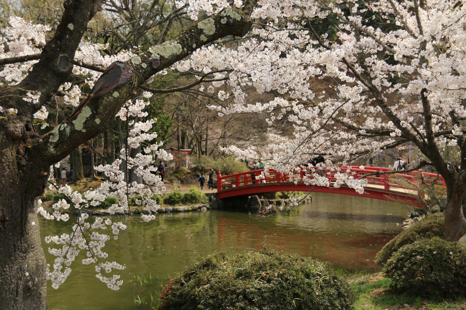 Japanese Friendship Garden of Phoenix