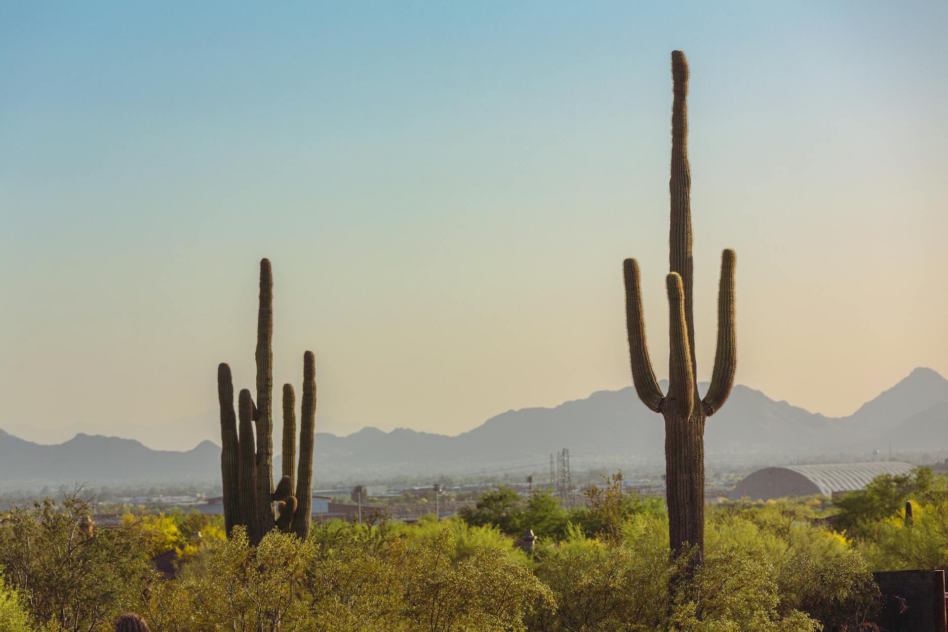 Scottsdale Vacation Rentals From Paseo Homes