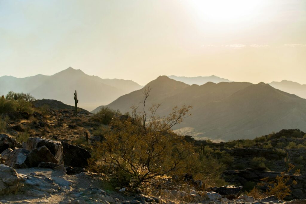 Enjoy a scenic hiking trail in Phoenix