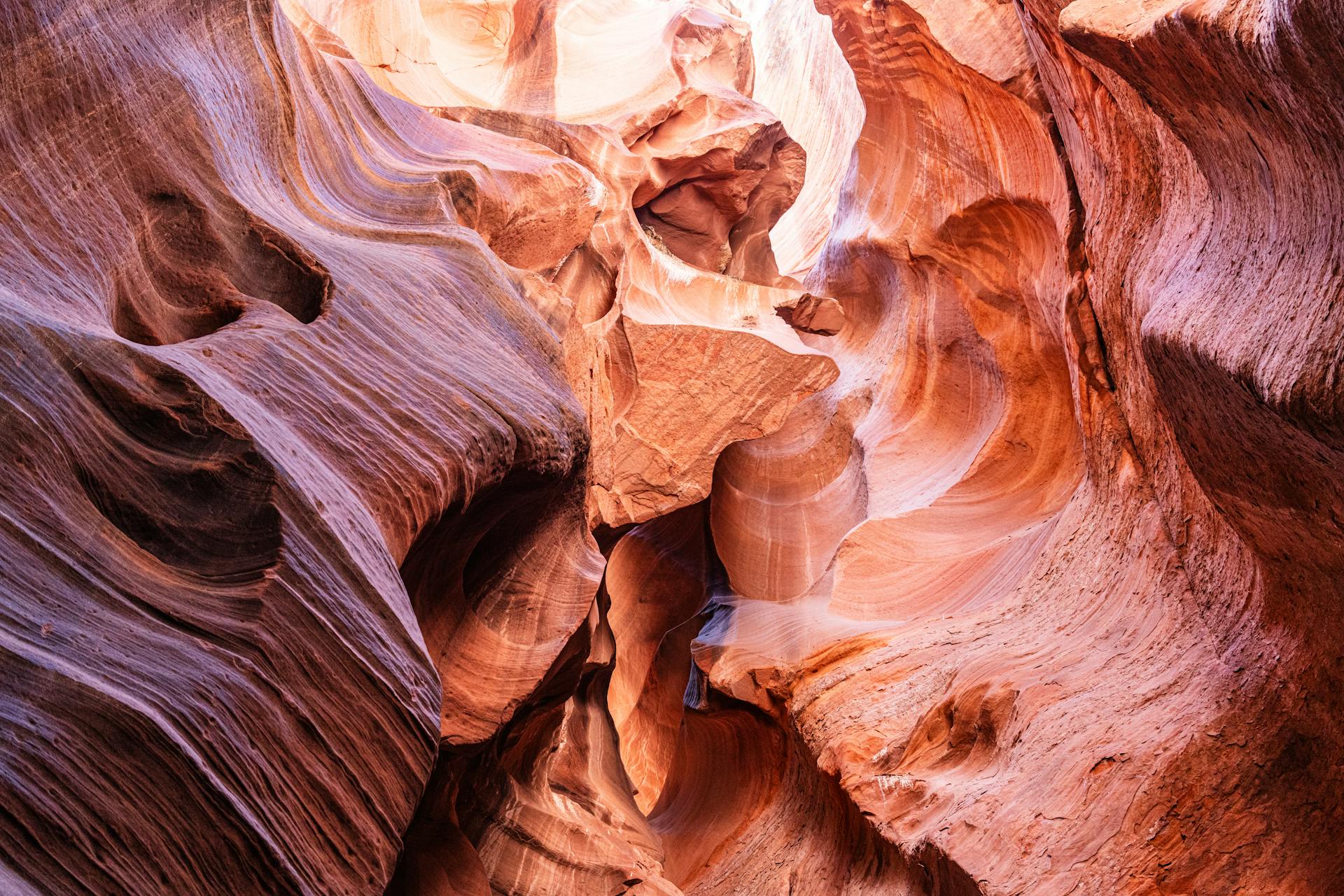 Tovrea Castle at Carraro Heights 